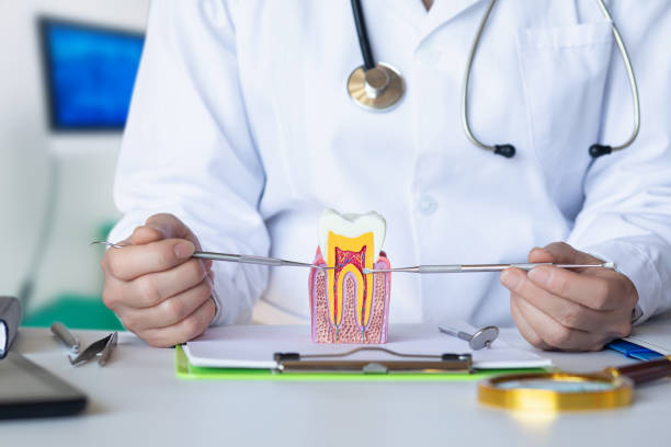 Best Emergency Treatment for Dental Infections or Abscesses in Lacoste, TX